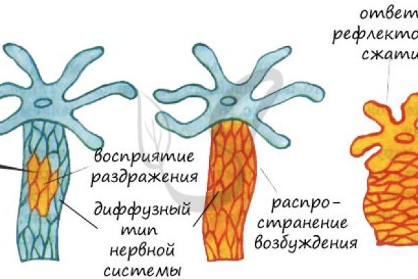 Забыл пароль кракен